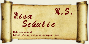 Miša Sekulić vizit kartica